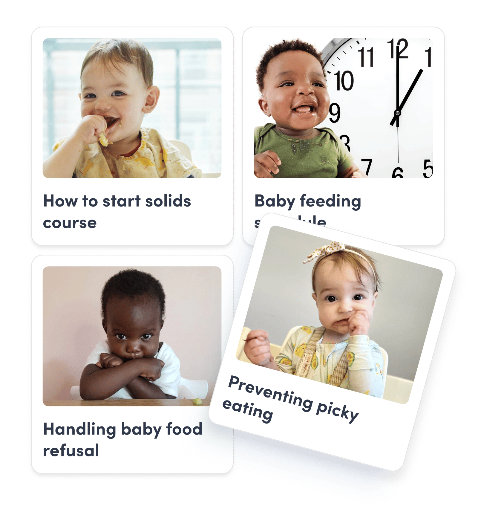 Expert articles and guides in the app