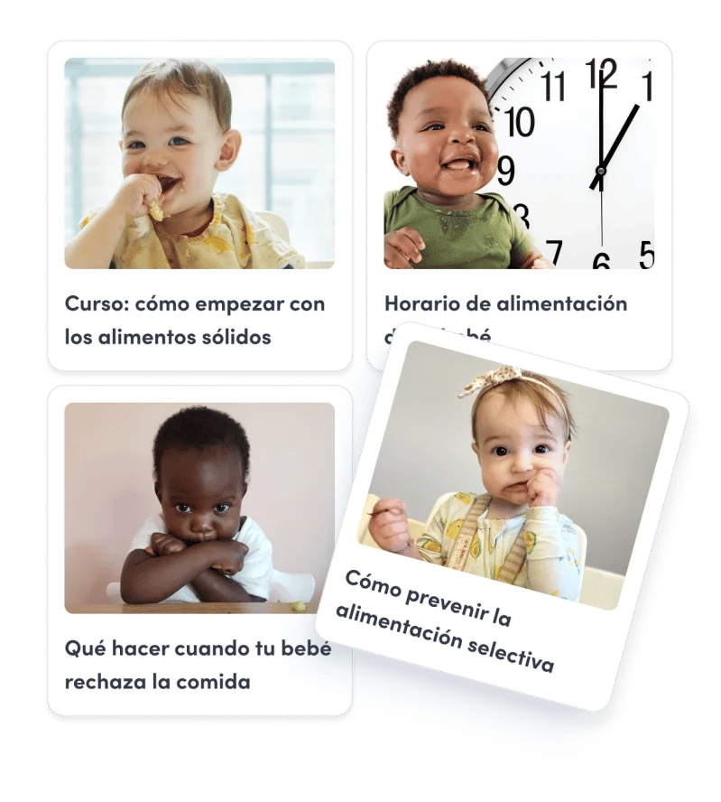 Artículos y guías de expertos en la aplicación