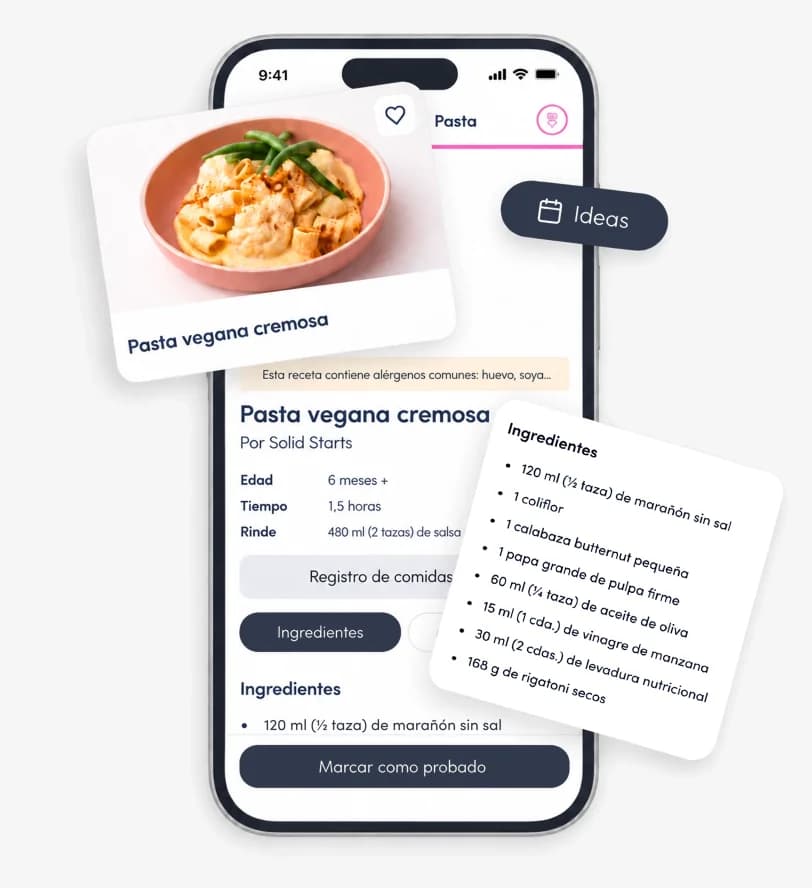 Recetas e ideas para comidas en la aplicación